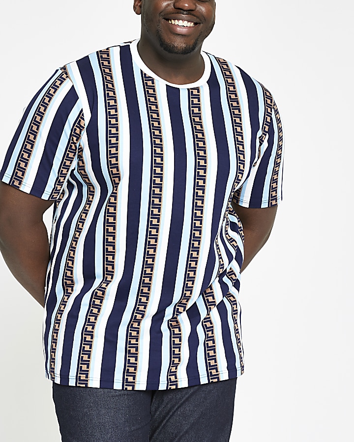 Big and Tall blue stripe slim fit T-shirt