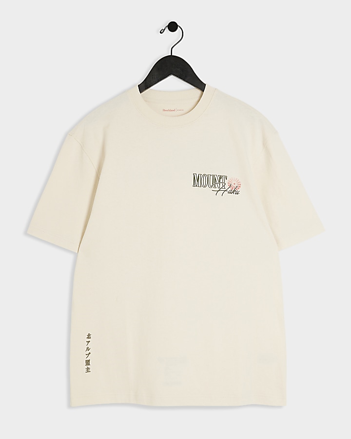 Beige regular fit graphic print t-shirt