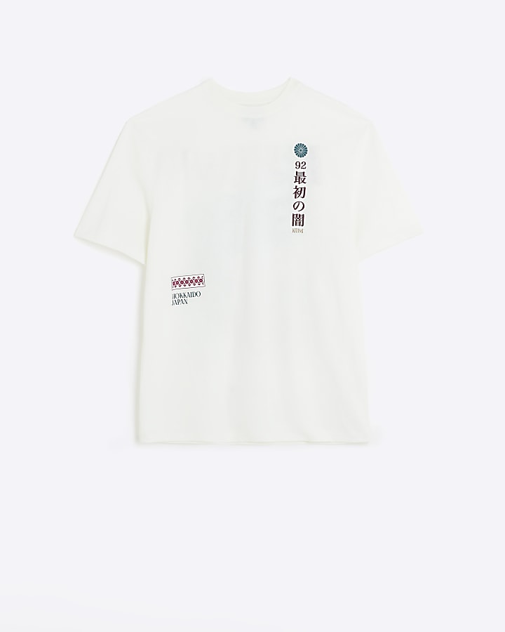 Beige regular fit Japanese graphic t-shirt