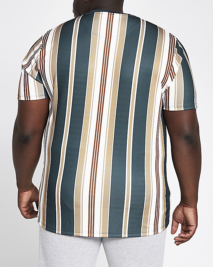 Big and Tall navy stripe slim fit T-shirt
