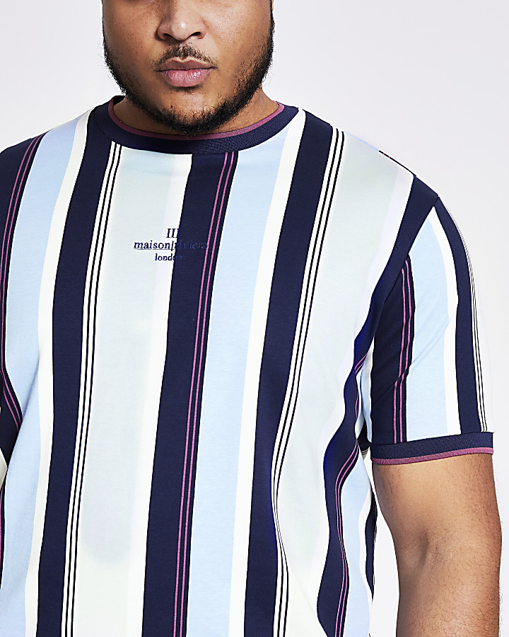 Big and Tall blue stripe slim fit T-shirt