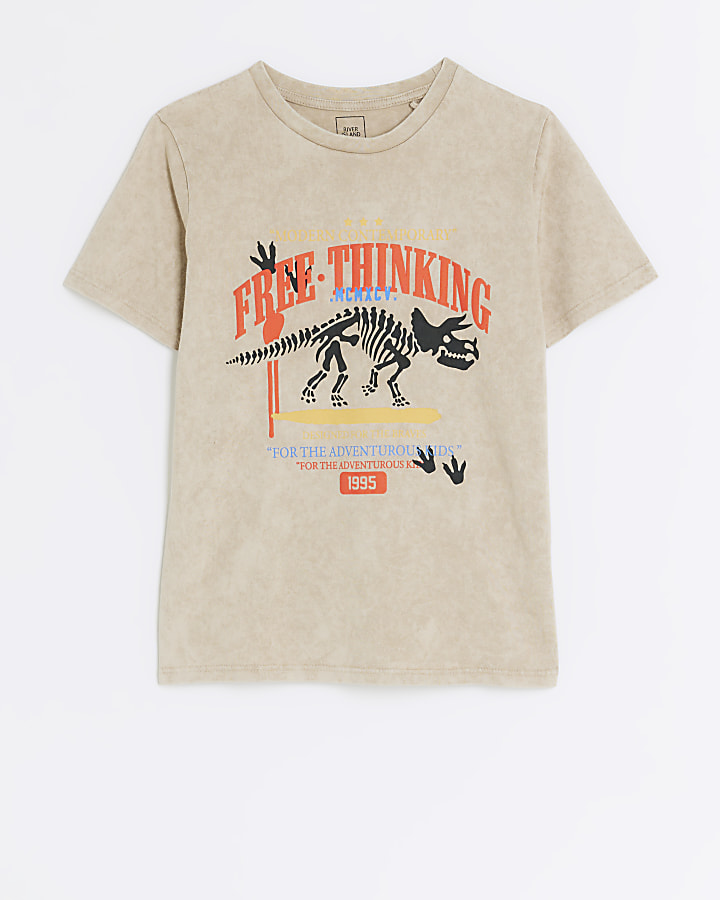 Boys stone dinosaur print t-shirt