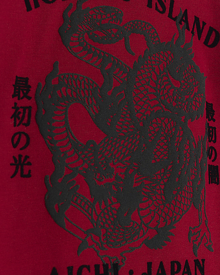 Mini boys red dragon back graphics t-shirt