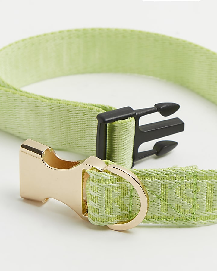 Green RI Dog webbing collar