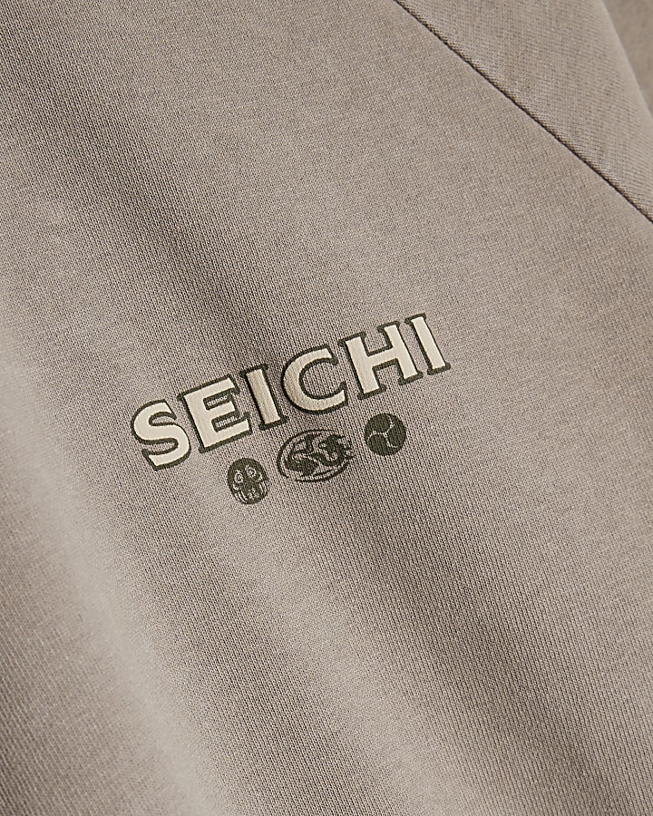 Grey Japanese Crest Ragan T-Shirt
