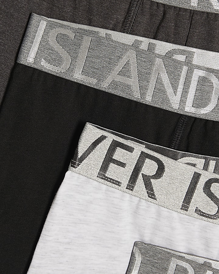 Grey Metallic RI Pack Of 10 Trunks