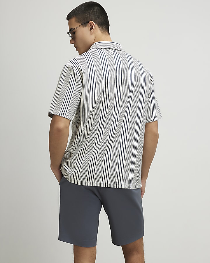 Blue Regular Fit Stripe Shirt