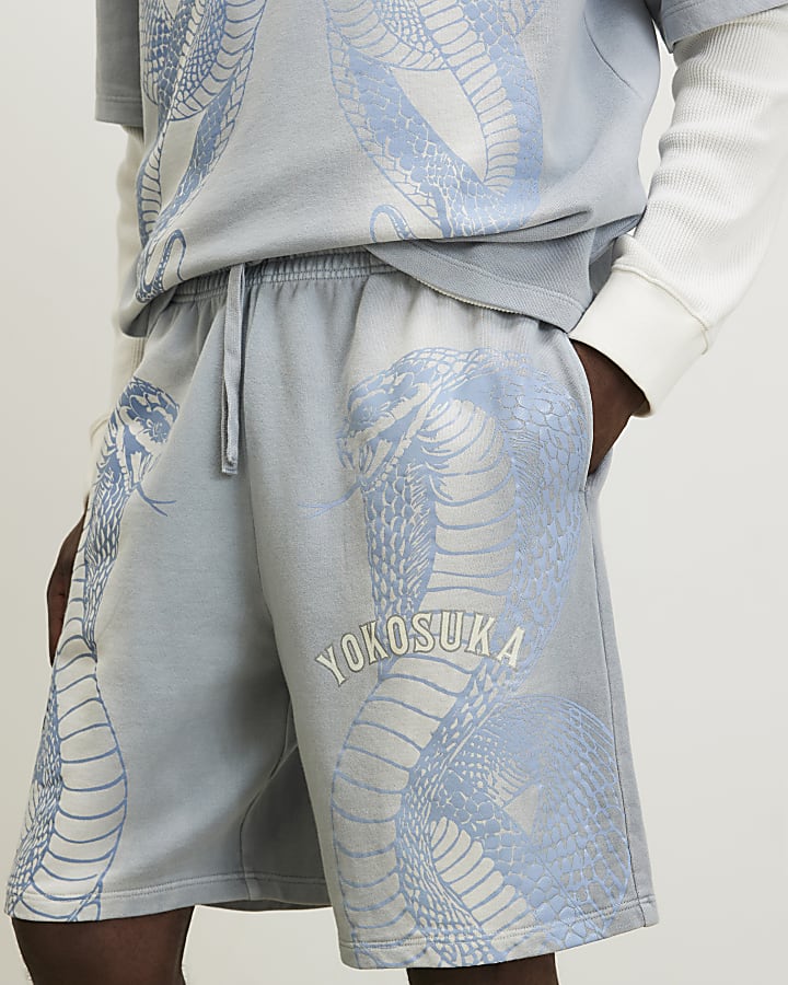 Blue Regular Fit Washed Yokosuka Shorts