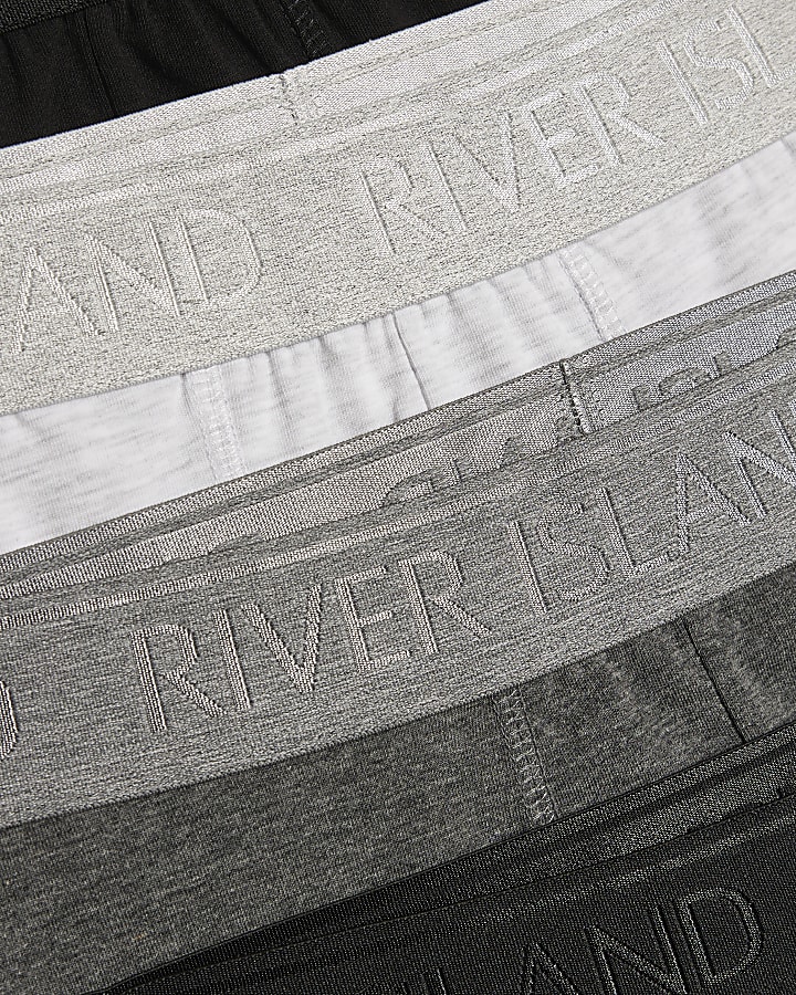 Grey Pack Of 5 Trunks