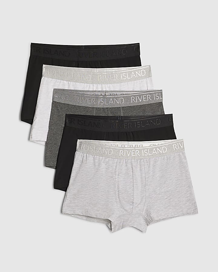 Grey Pack Of 5 Trunks