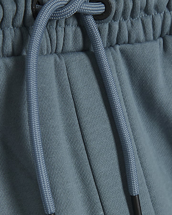 Blue Regular Fit Shorts