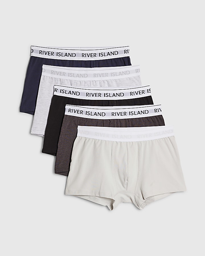 Grey Pack Of 5 Trunks