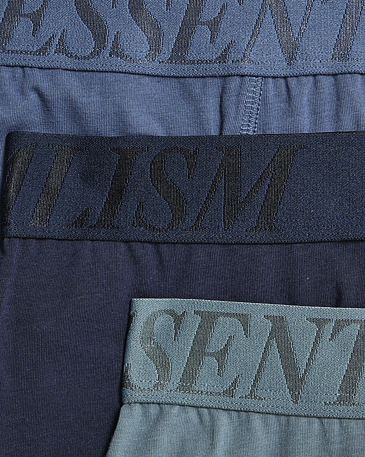 Blue Essentialism Pack Of 5 Trunks