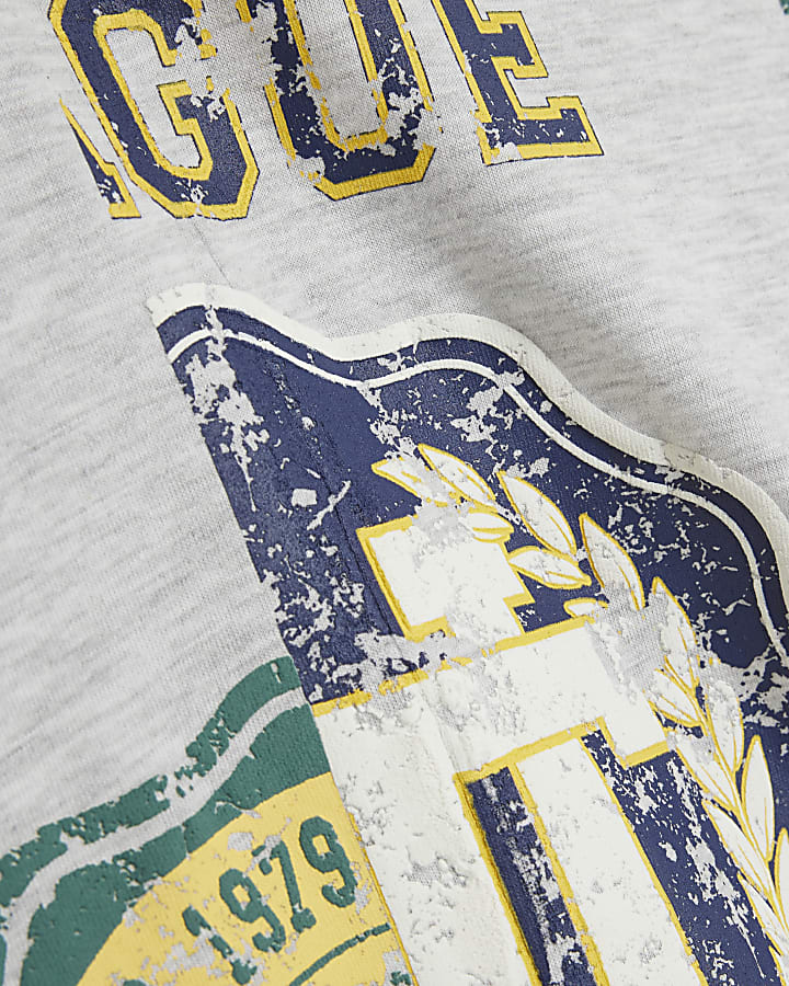 Grey Regular Fit College Spliced T-Shirt