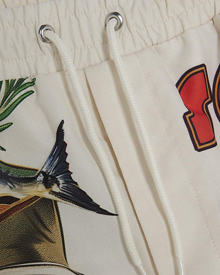 Multi Colour Sardines Swim Shorts