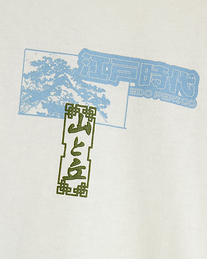 Beige Boxy Fit Short Sleeve Graphic T-Shirt