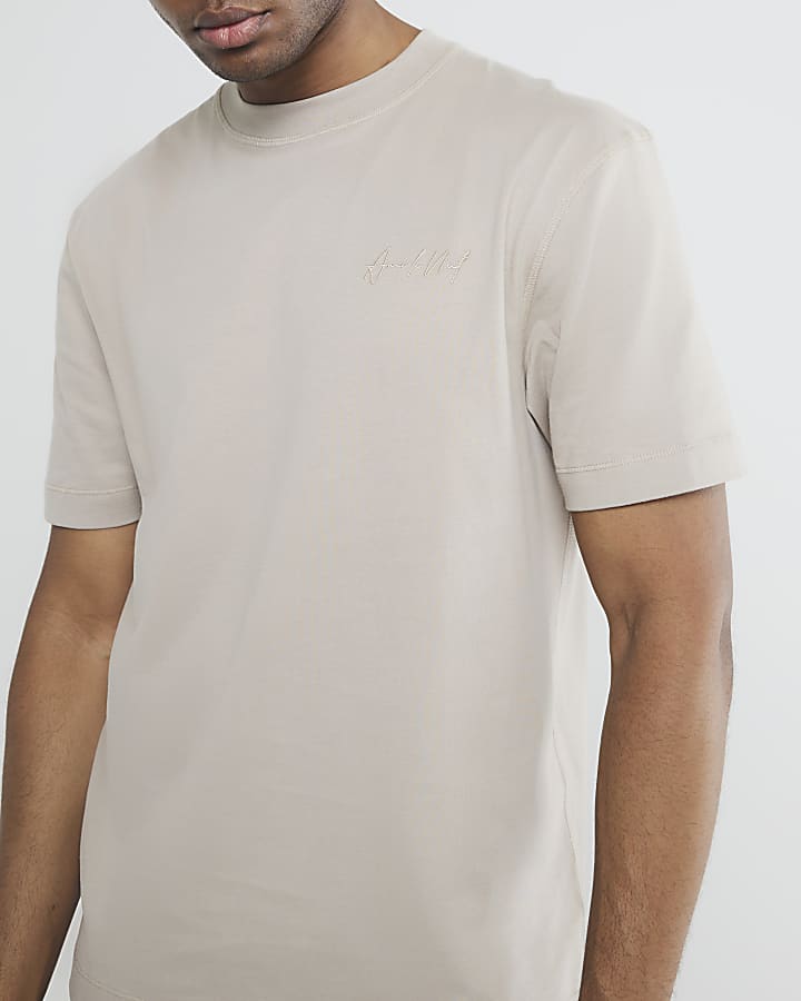Beige Regular Fit Embroidery T-Shirt