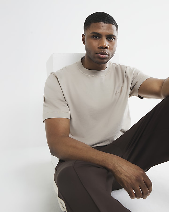 Beige Regular Fit Embroidery T-Shirt