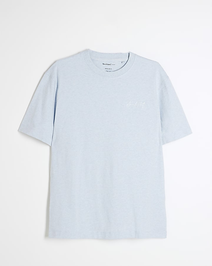 Blue Regular Fit Embroidery T-Shirt