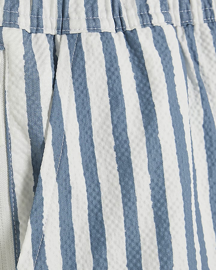 Blue Stripe Swim Shorts