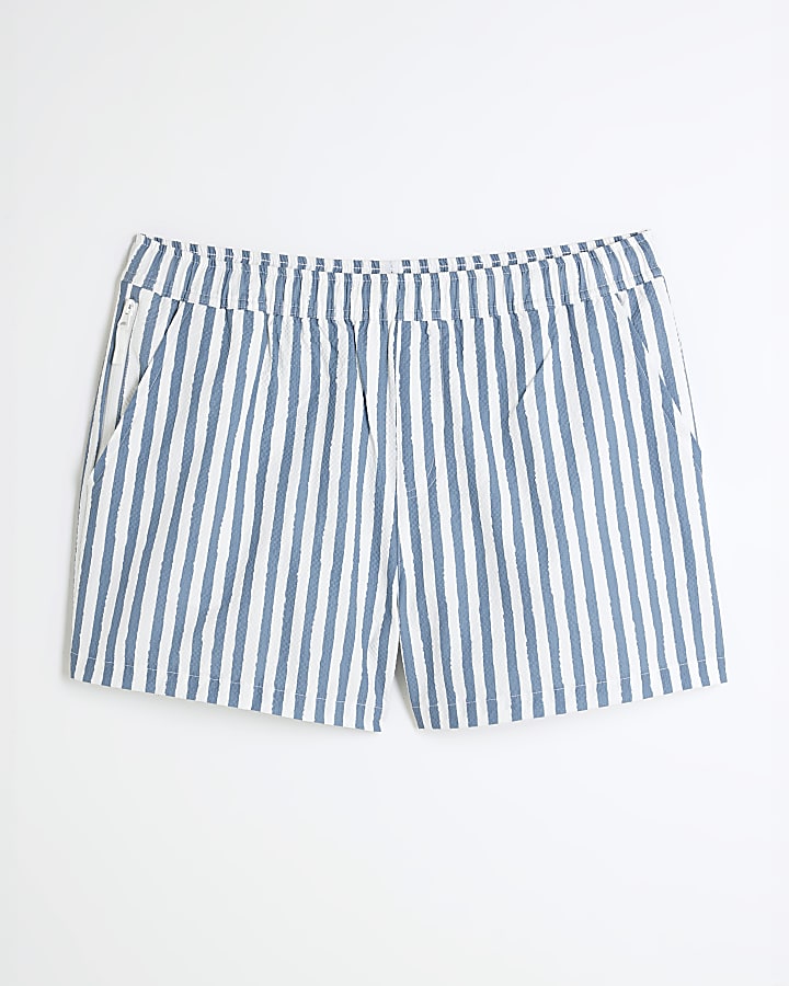 Blue Stripe Swim Shorts