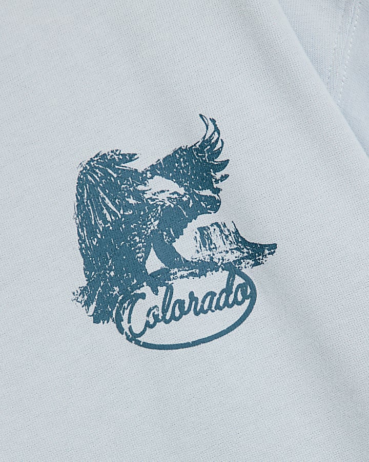 Blue oversized fit eagle graphic t-shirt