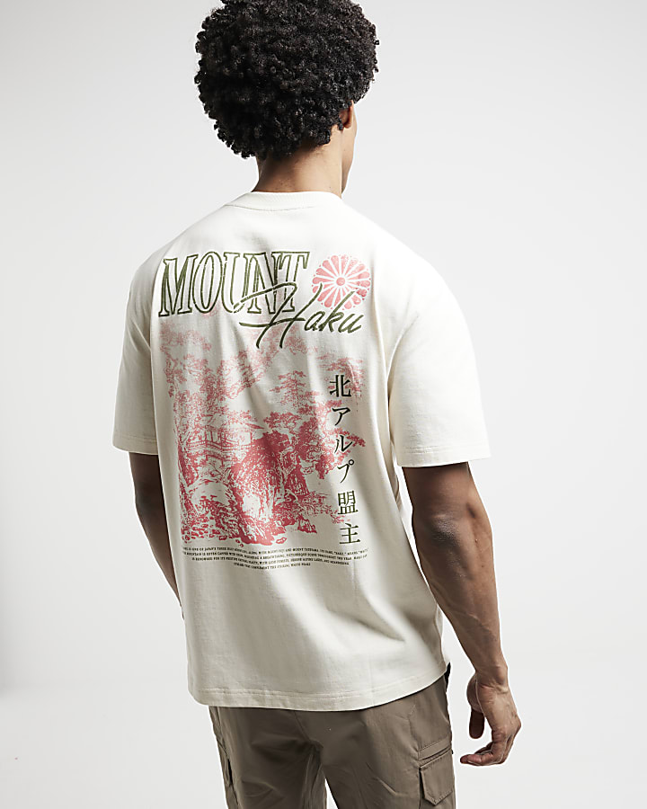 Beige regular fit Mount Haku graphic t-shirt