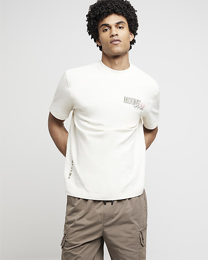 Beige regular fit Mount Haku graphic t-shirt