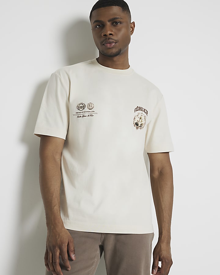 Beige regular fit graphic print t-shirt