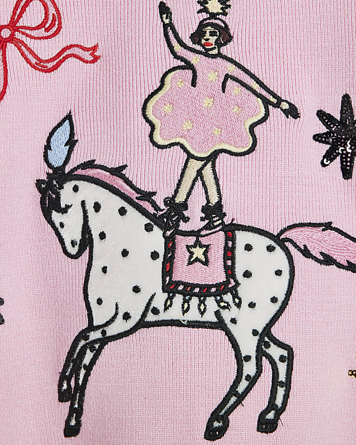 Girls Pink Circus Jumper