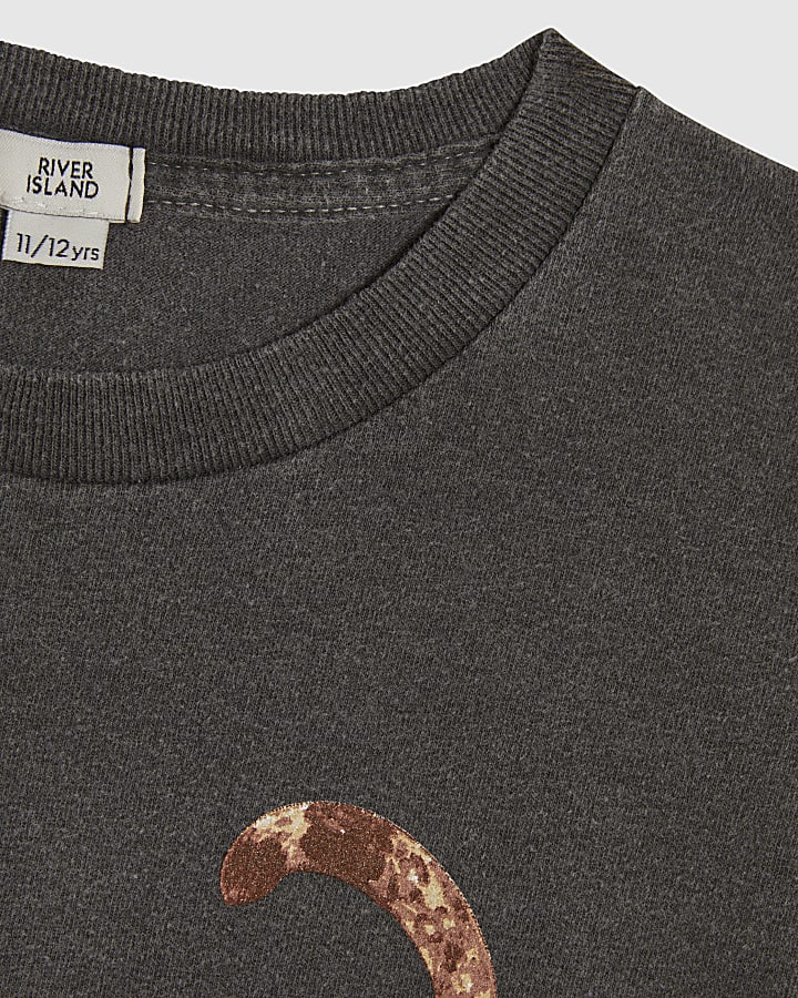 Girls Grey Dyed Tiger T-Shirt