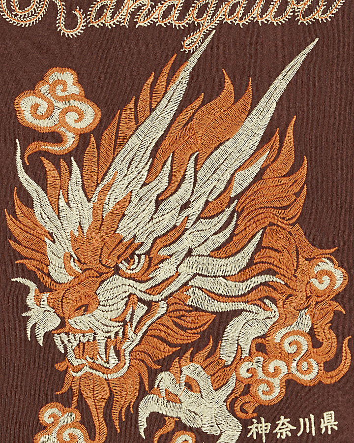 Boys Brown Embroidered Dragon T-Shirt 