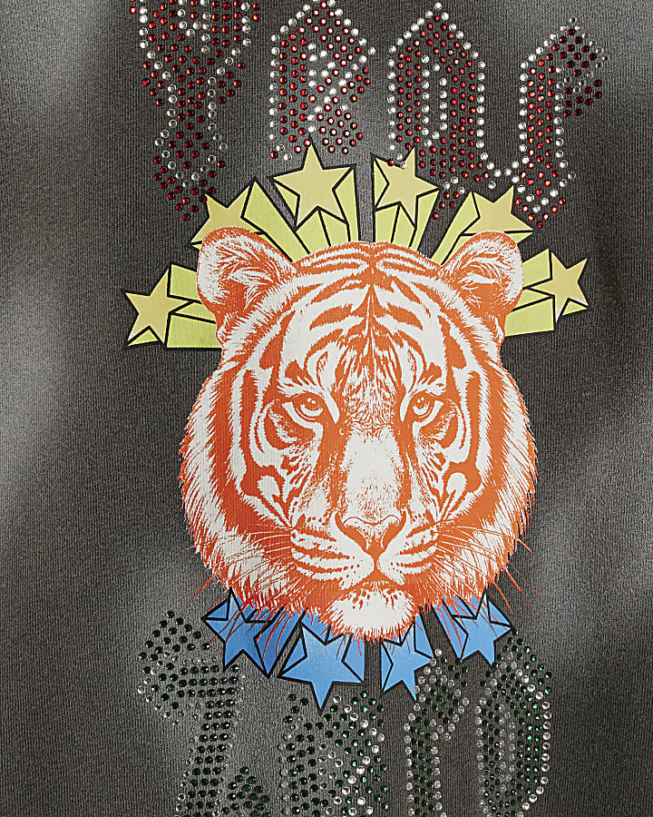 Boys Black Year Zero Tiger Graphic T-Shirt