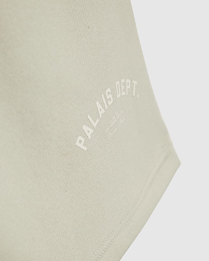 Boys Grey Palais Dept T-Shirt Set