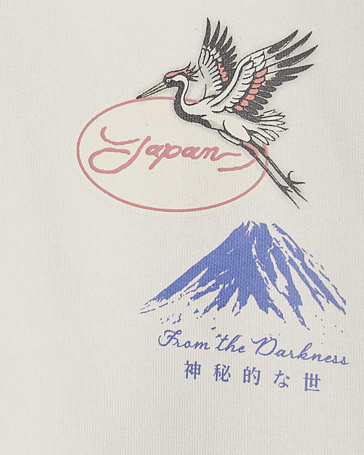 Mini Boys Cream Japanese Bird Print Hoodie