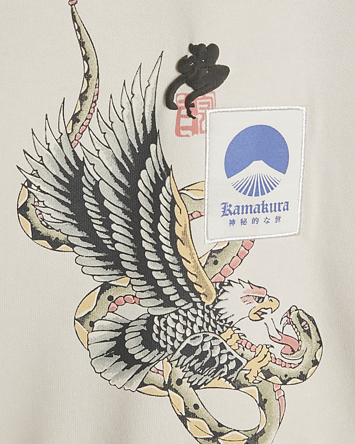 Boys Cream Japanese Bird Print Hoodie