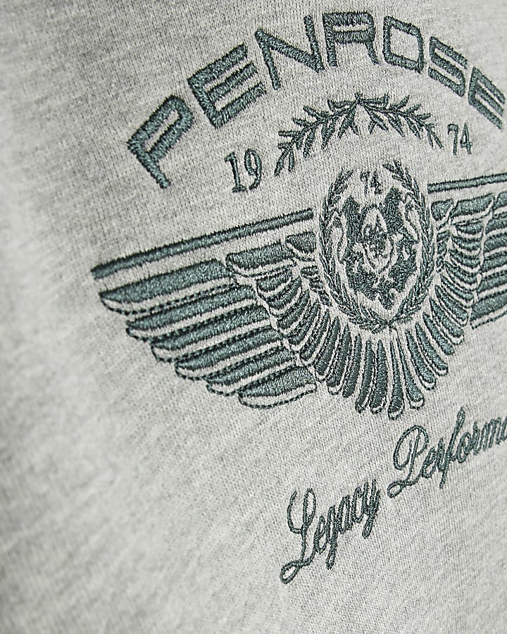 Mini Boys Grey Penrose Hoodie