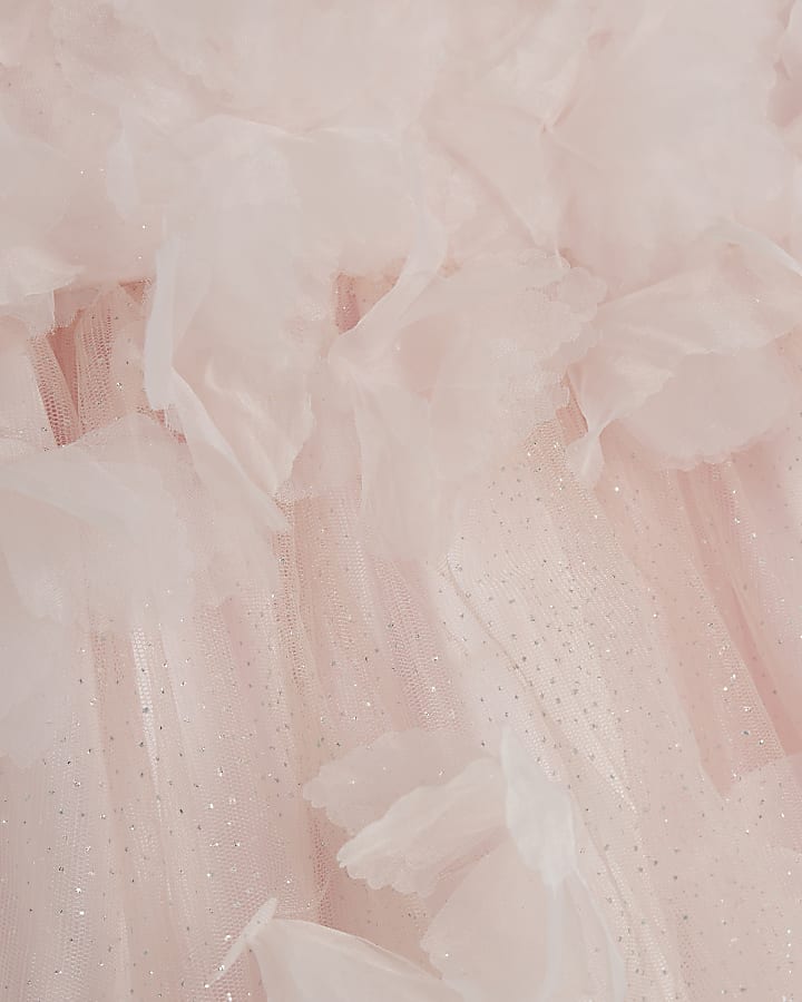 Mini Girls Pink 3D Floral Tulle Skater Dress