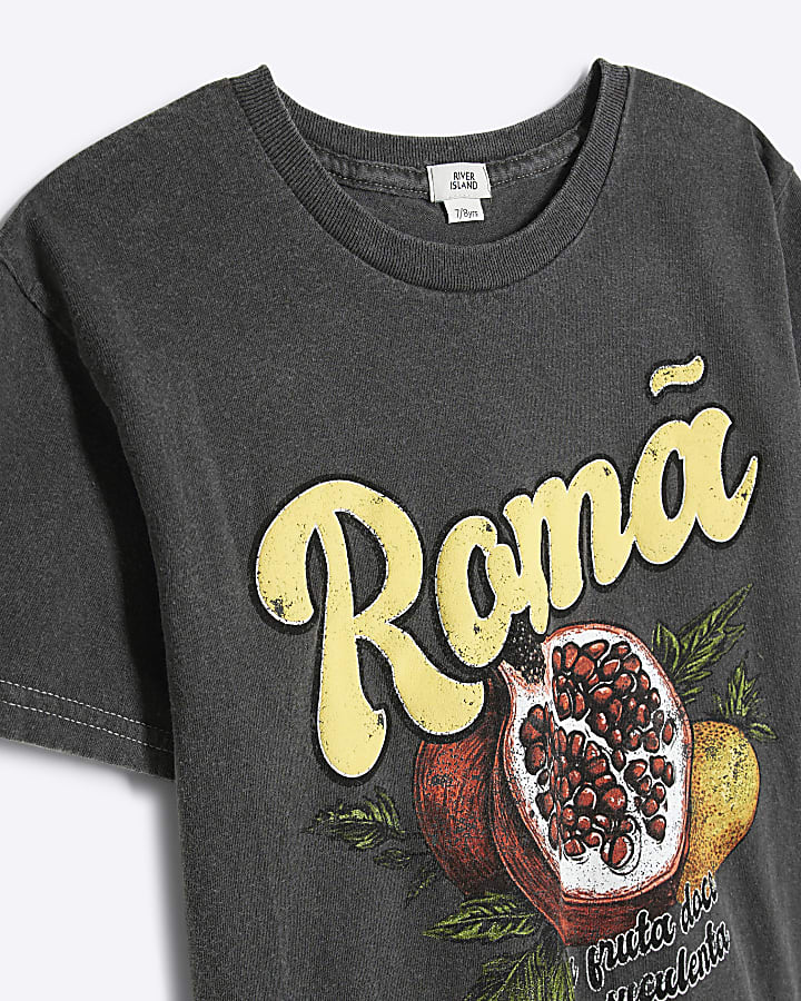 Girls Grey Roma Fruit T-Shirt