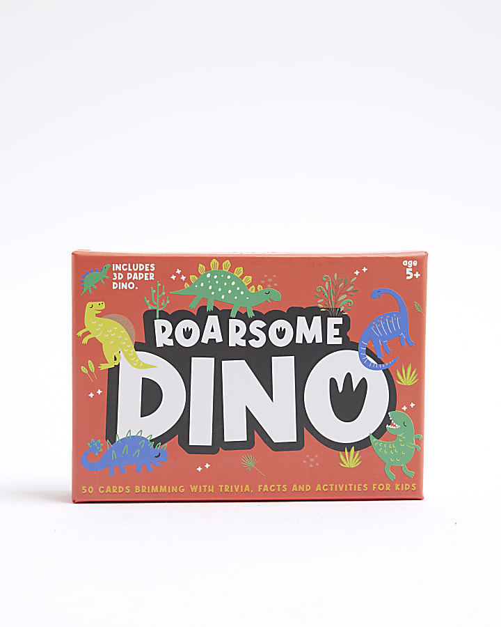 Boys Orange Dino Activity Kit