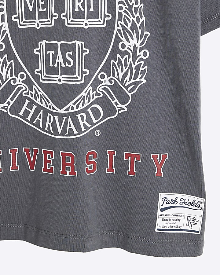 Grey Harvard Graphic T-Shirt