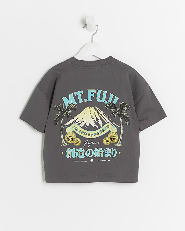 Mini boys grey graphic print t-shirt