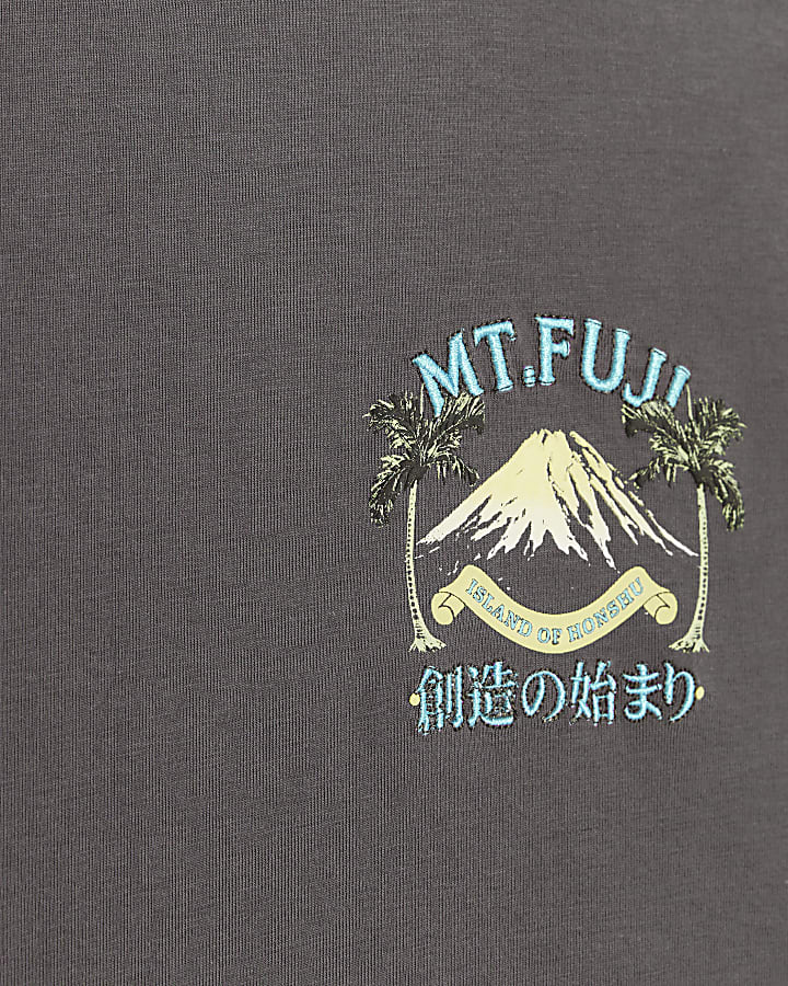 Boys grey Fuji graphic print t-shirt