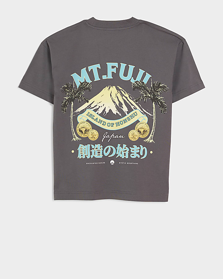 Boys grey Fuji graphic print t-shirt