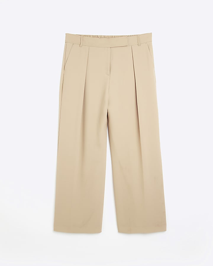 Plus Beige Pleat Wide Leg Trouser