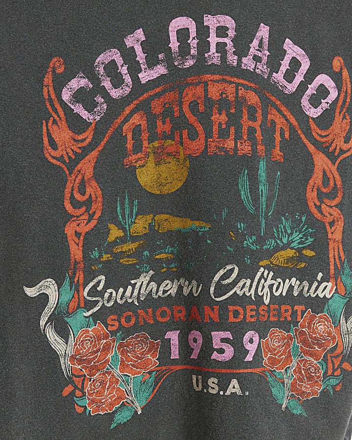 Grey washed Colorado graphic print t-shirt