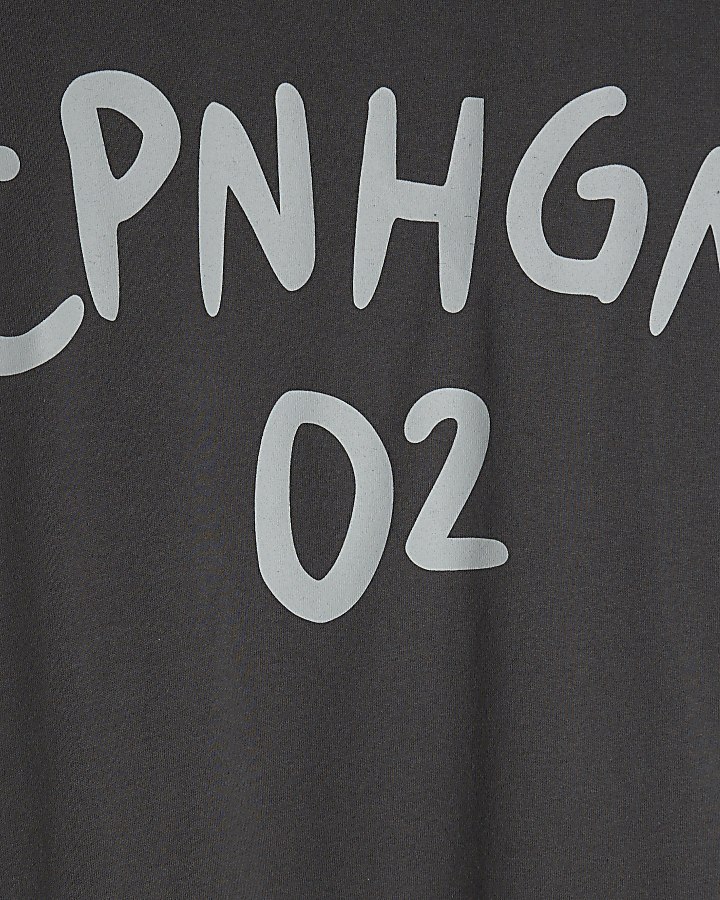 Premium Grey CPNGHN 02 T-Shirt