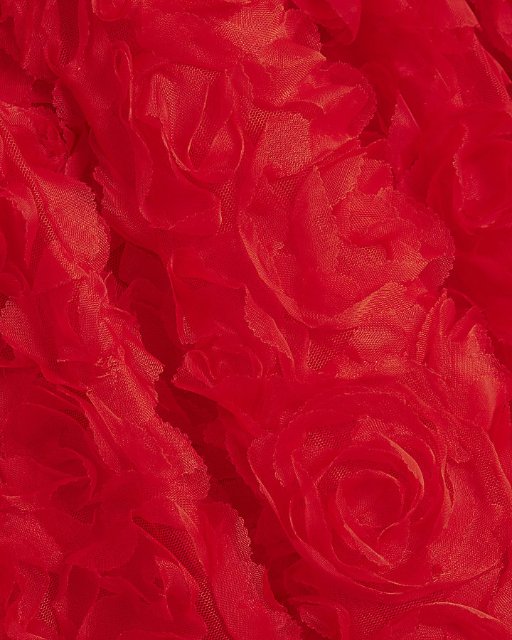 Red 3D Floral Mini Dress