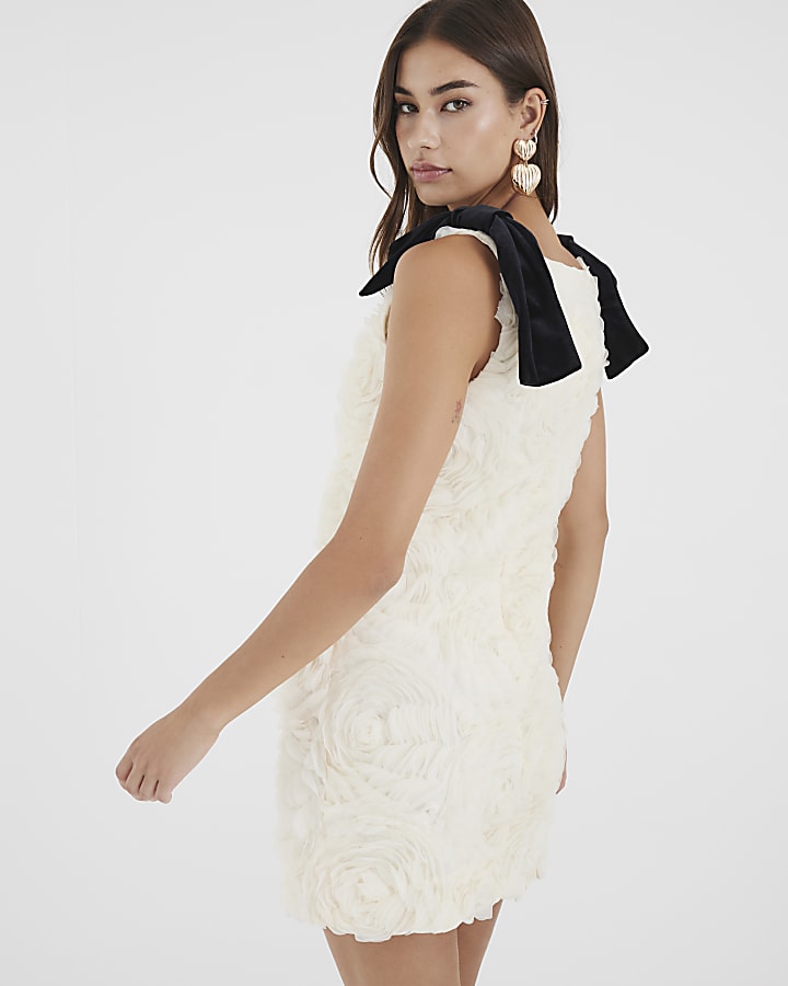 Cream Sleeveless 3D Rose Floral Mini Dress