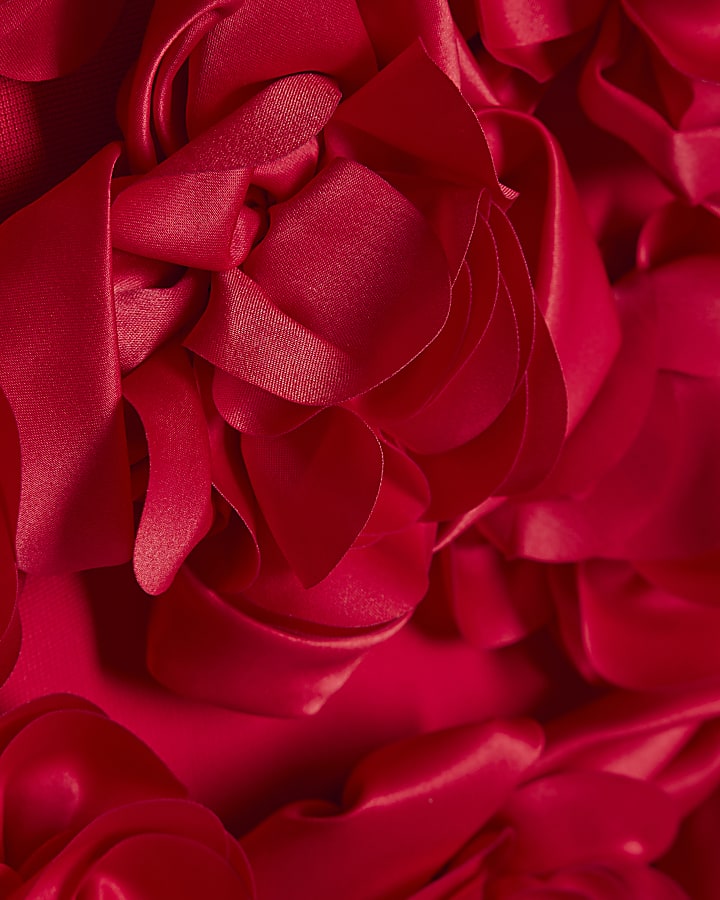 Red Corsage Bandeau Mini Dress